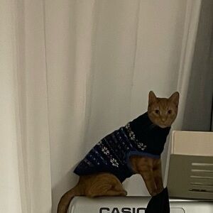 Meet your Posher, Josephine